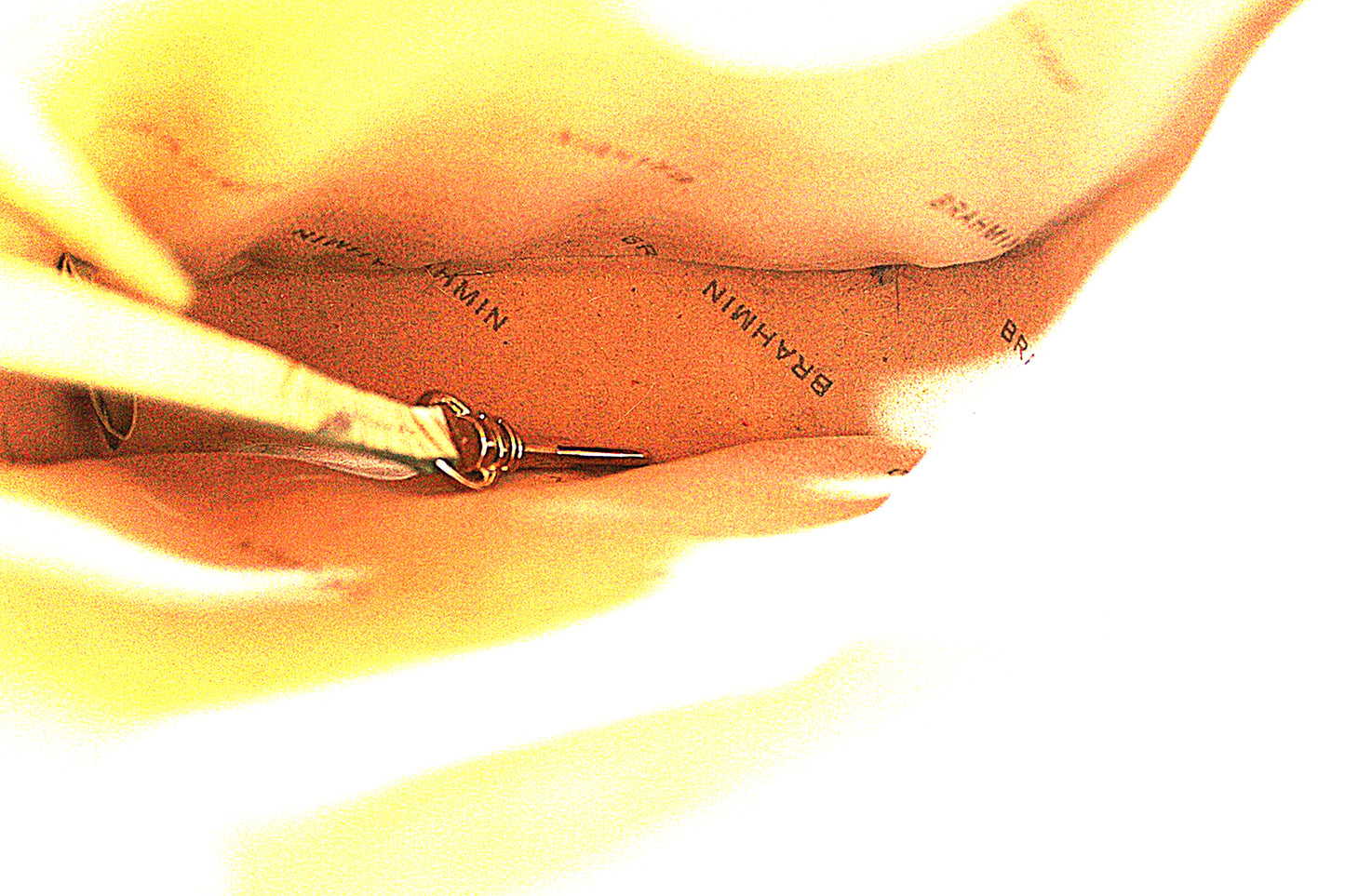 Brahmin Marley Crossbody